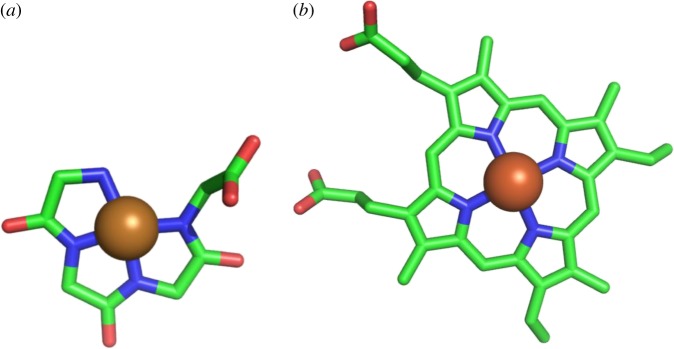 Figure 12.