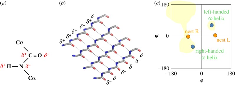 Figure 11.