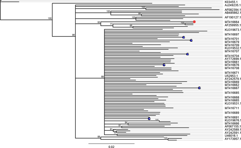 Fig. 2