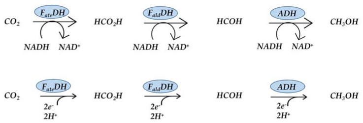 Figure 8