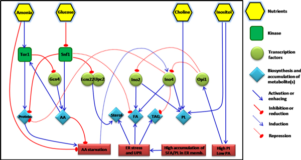 Figure 7