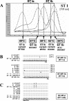 FIG. 3.