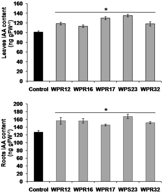 Figure 6