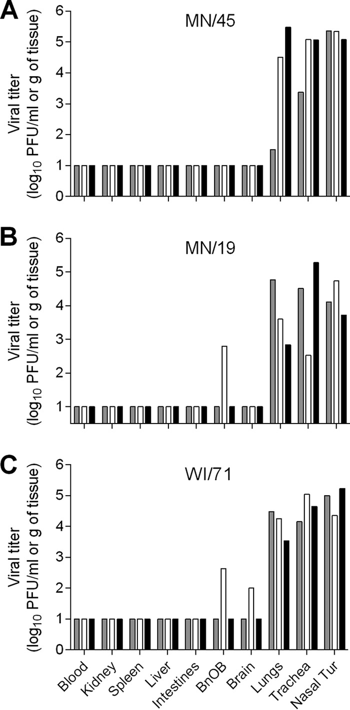 FIG 4