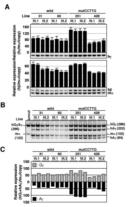 FIG. 7.