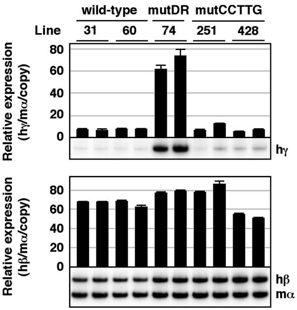 FIG. 6.