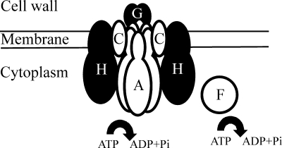 FIG. 5.