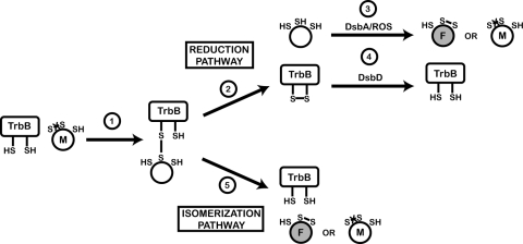 Fig. 2.