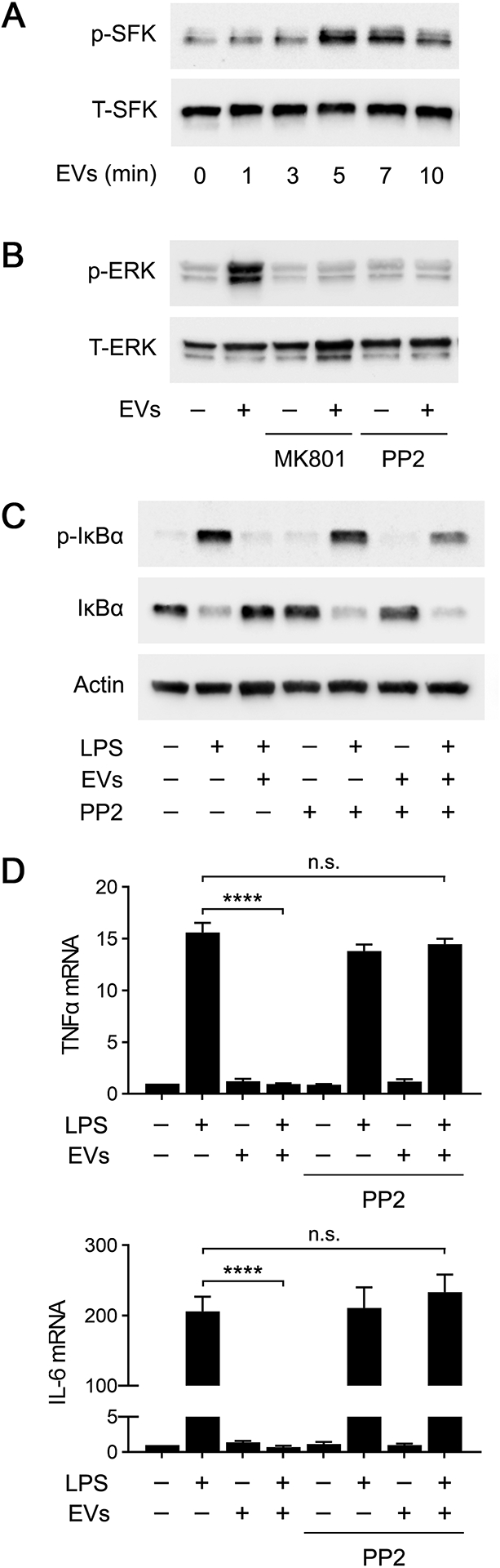 FIGURE 9.