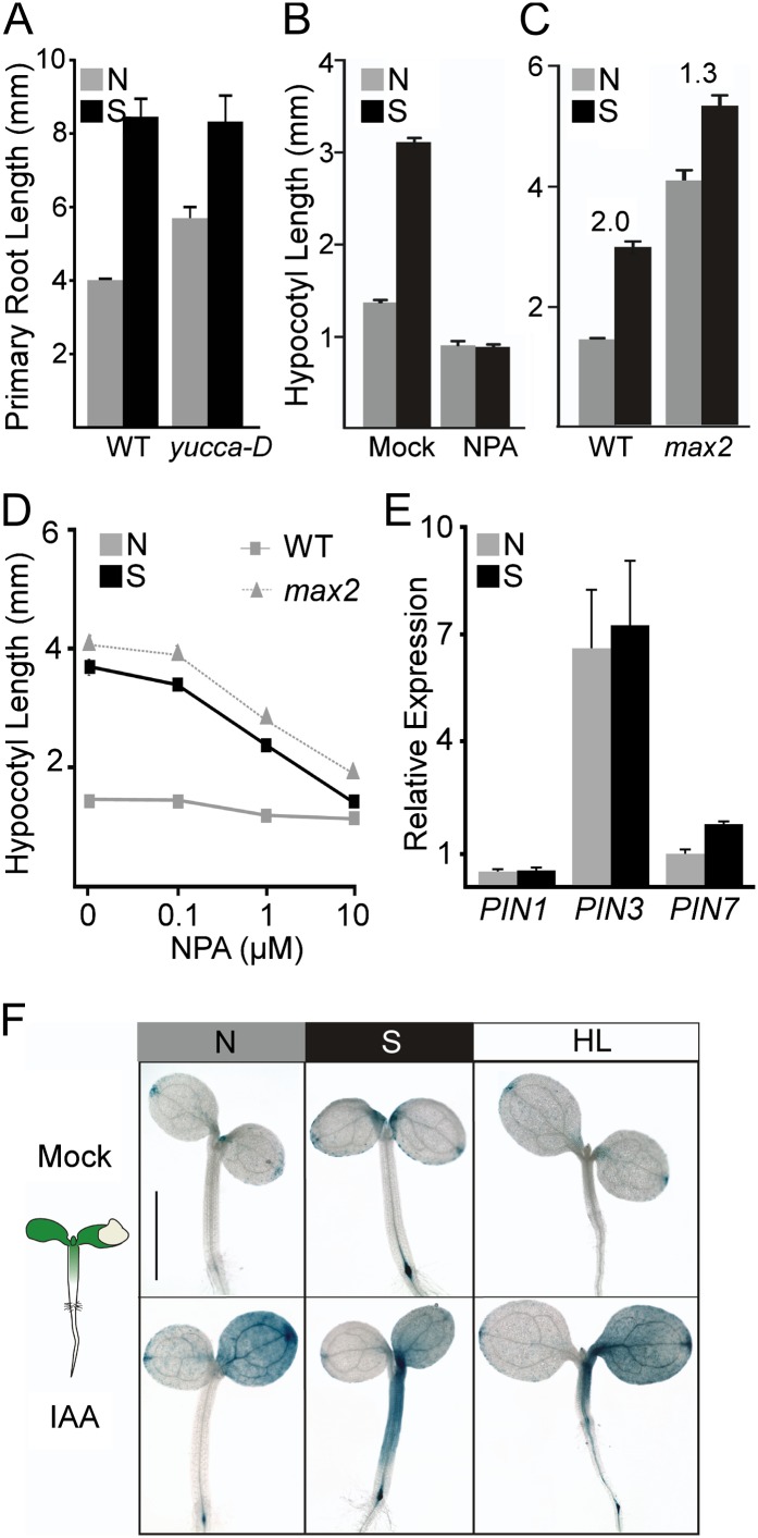 Figure 2.