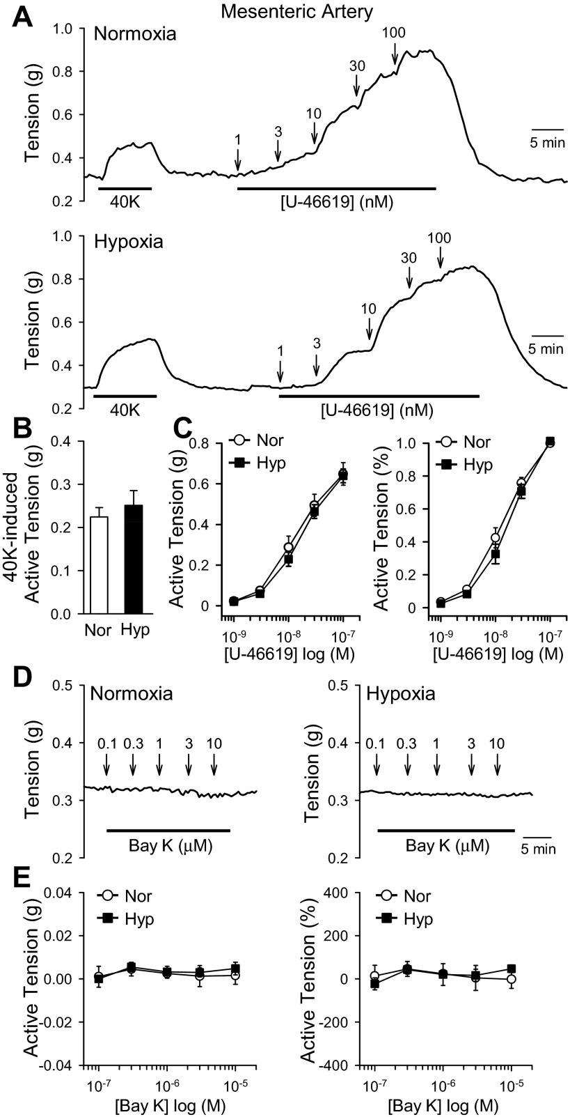 Fig. 8.