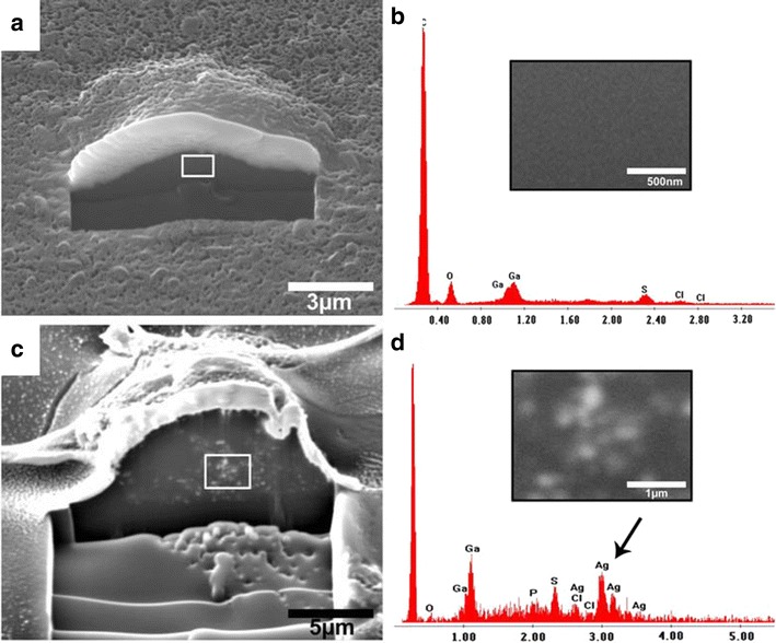 Fig. 2