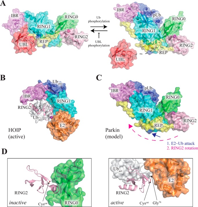 FIGURE 10.