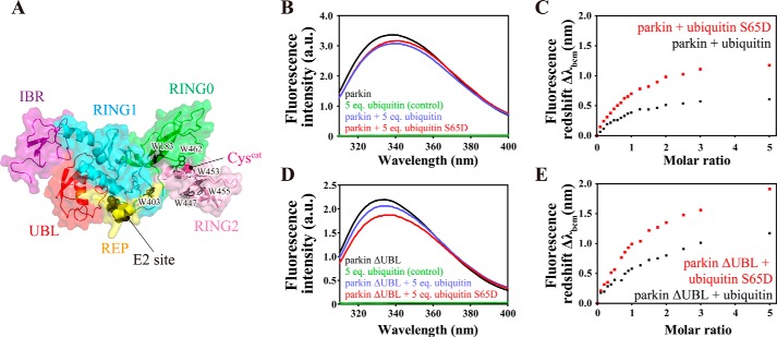 FIGURE 5.