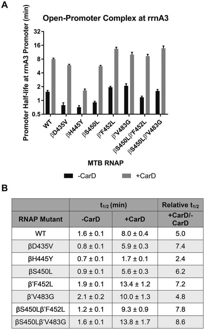 FIG 2