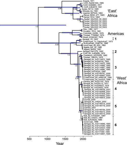 FIG. 1.