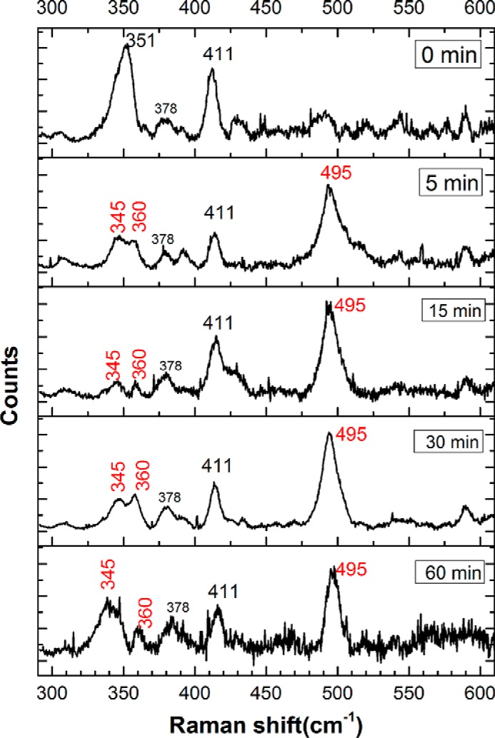 Figure 11.