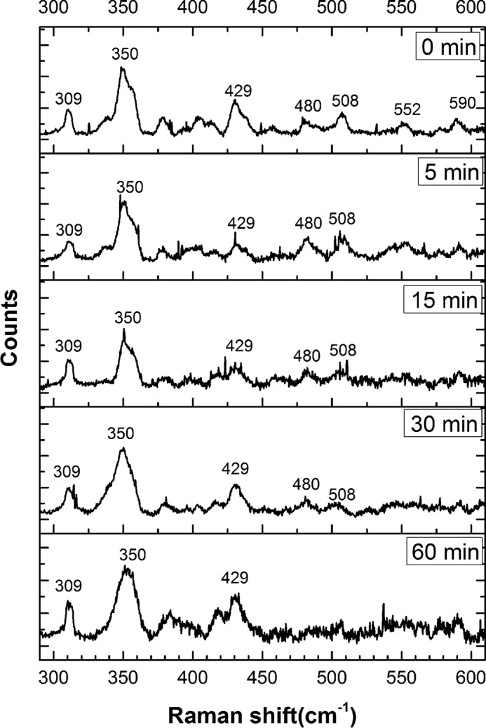 Figure 10.