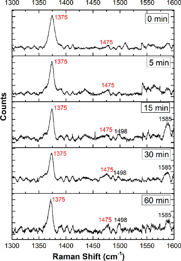 Figure 9.