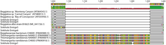 FIGURE 3