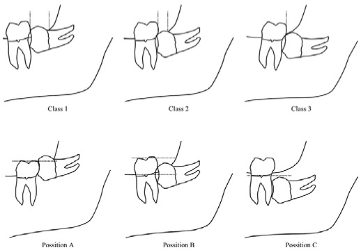 graphic file with name medicina-59-00534-i001.jpg