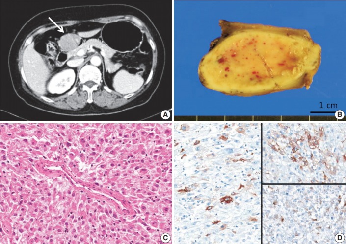 Fig. 1.