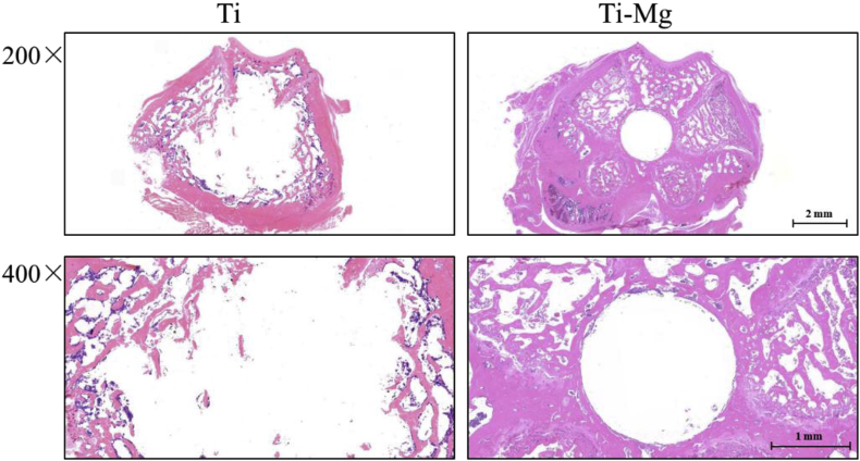 Fig. 9