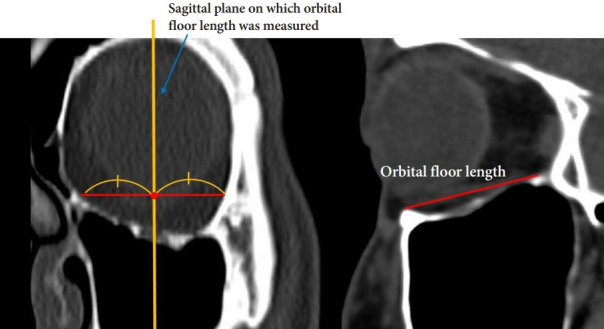 Fig. 3.