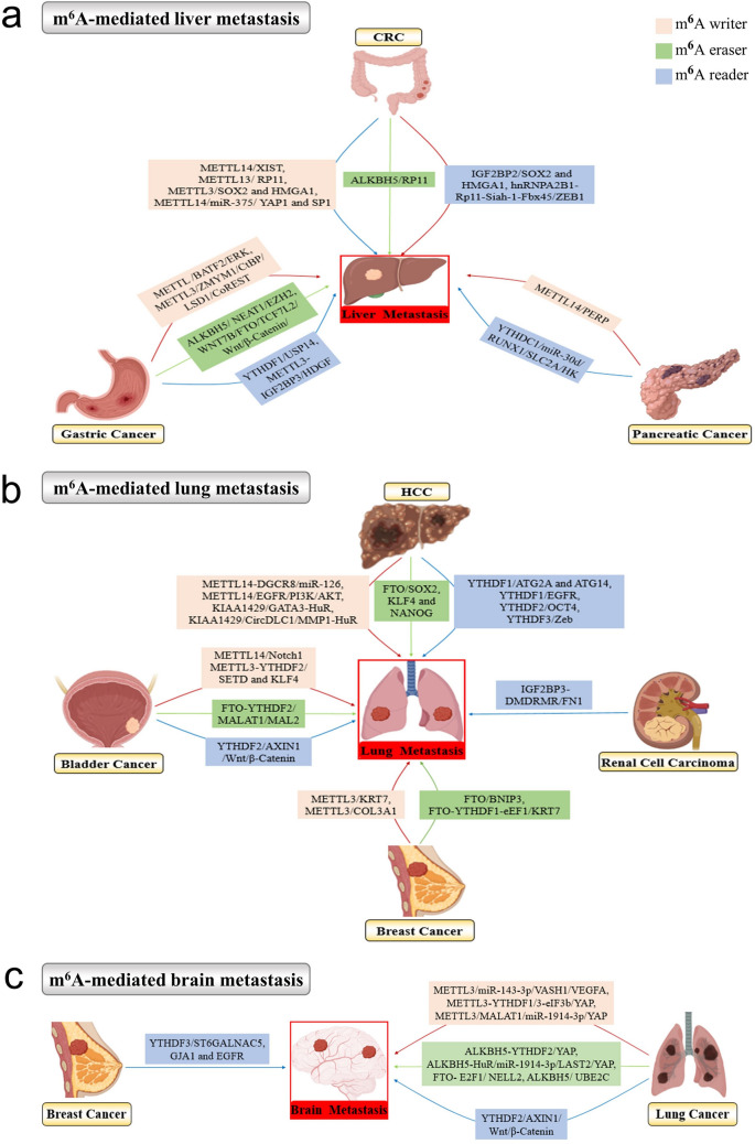 Fig.3