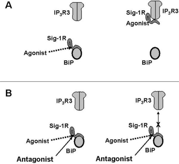 Fig. (1)