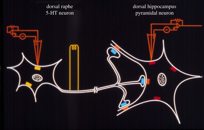 Figure 1.