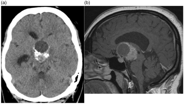 Figure 1.