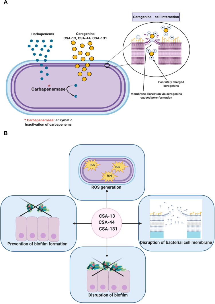 Figure 11