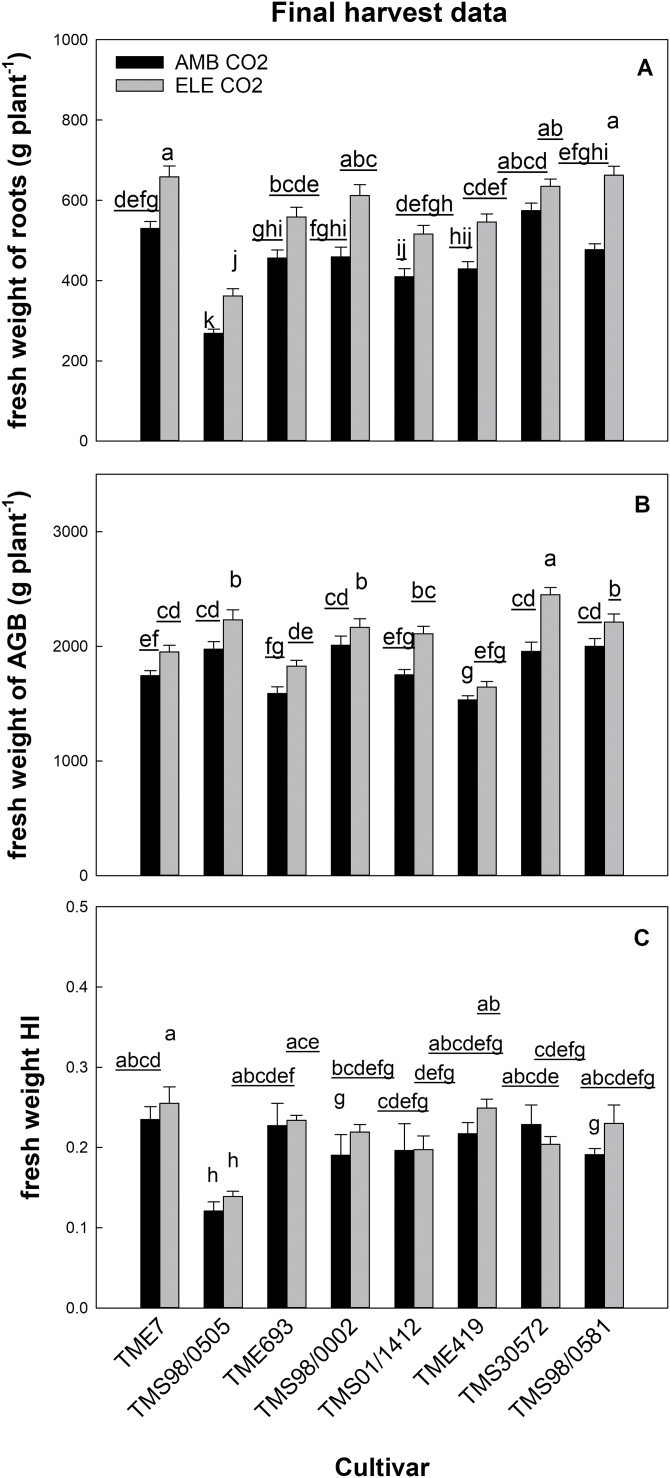 Fig. 10.