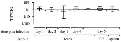 FIG. 3