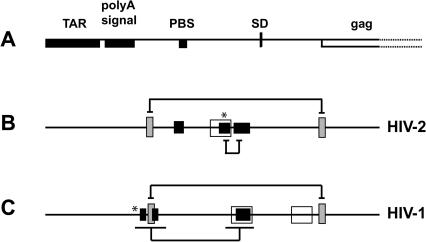 FIGURE 9.