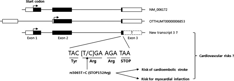 FIG. 2.