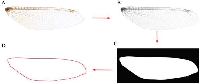 Figure 7