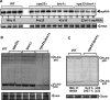 FIG 1