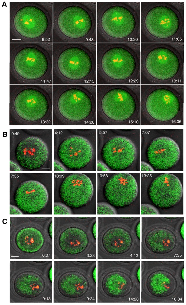 Fig. 4.