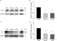 Fig 8