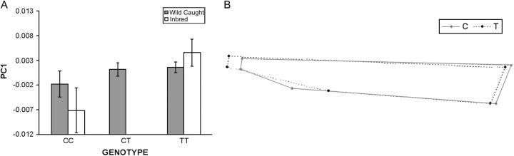 Figure 4.—