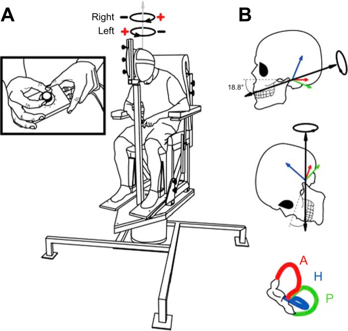 Fig. 1.