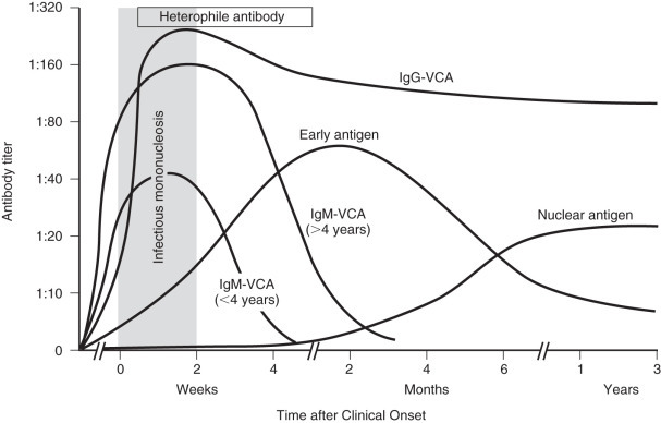 FIGURE 1.2