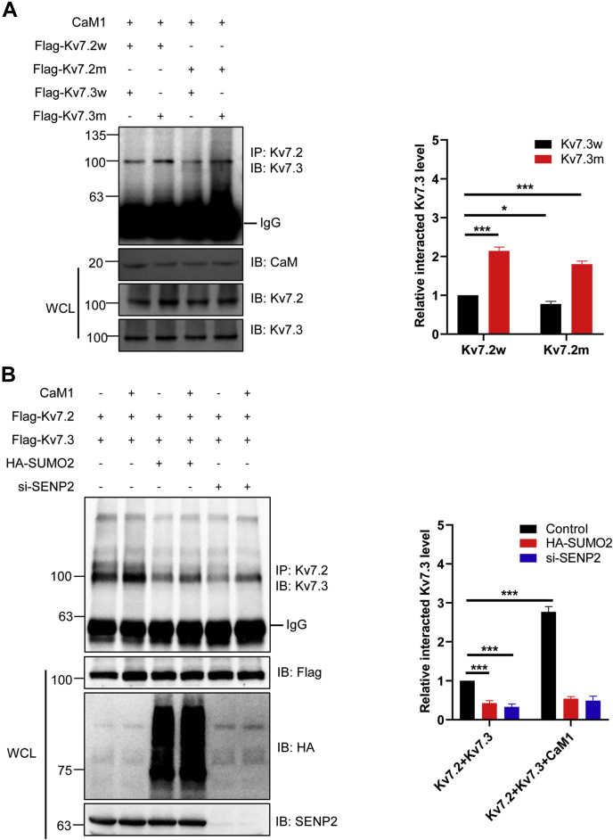 Figure 5