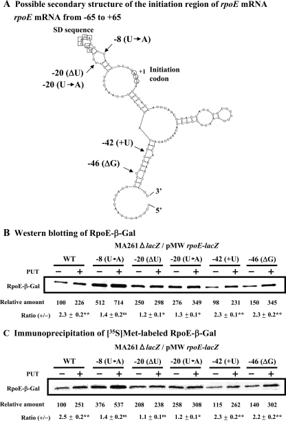 FIG. 5.