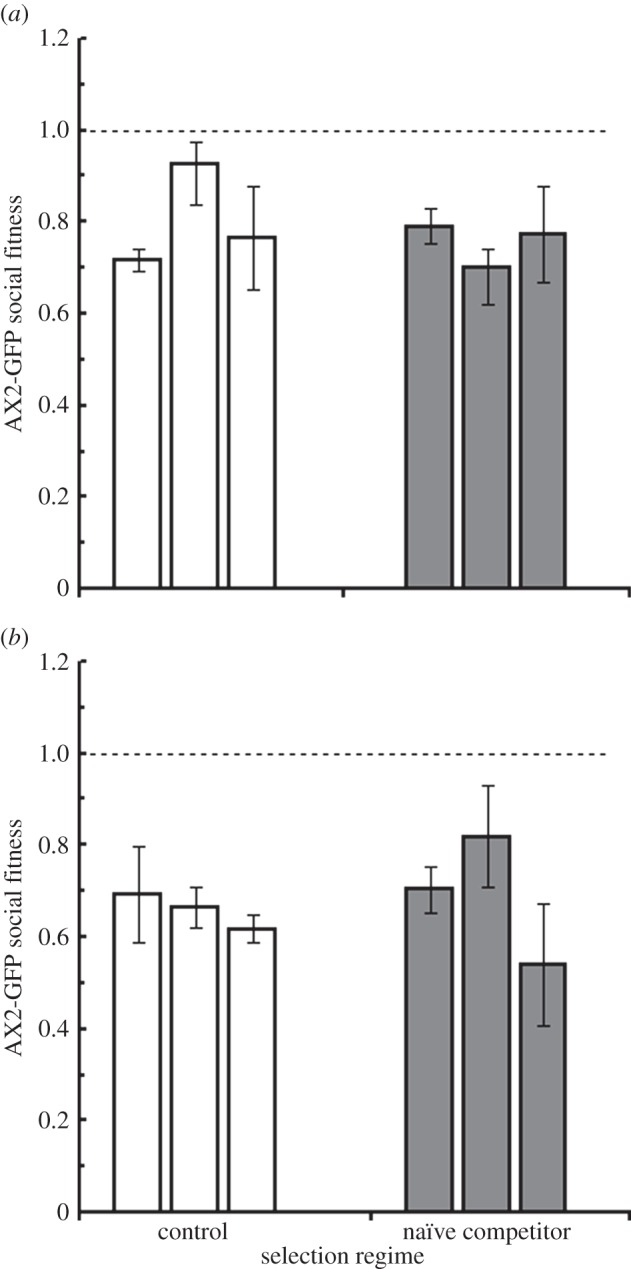 Figure 5.