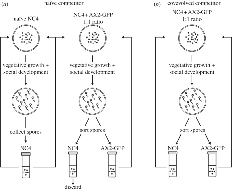 Figure 2.