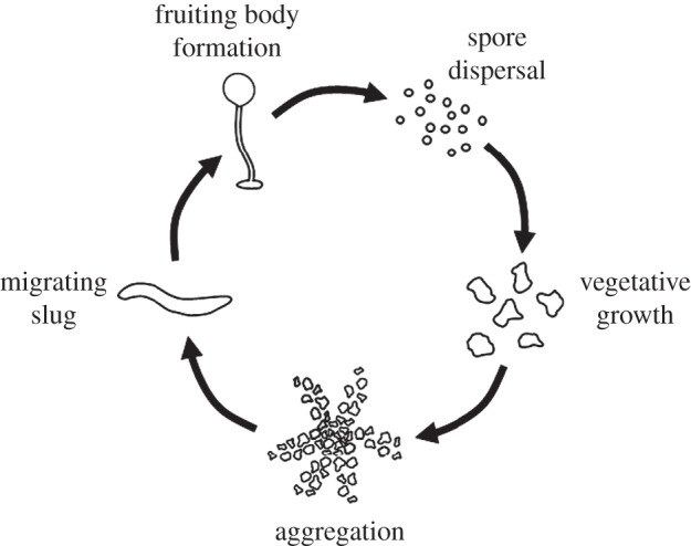 Figure 1.