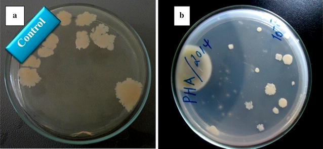 Fig. 6